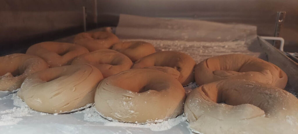 Raw bagels on their journey into the oven at Meshugana Deli, Sarasota, capturing the beginning of the baking process that defines their unique taste.